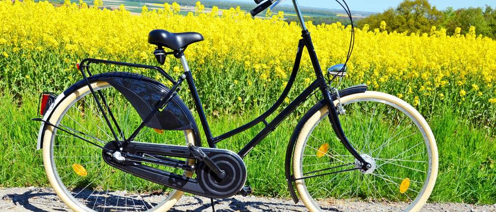 Canellini-Fahrrad-Test: Ein schwarzes Canellini-Fahrrad steht vor einem gelben Rapsfeld auf einem Weg.