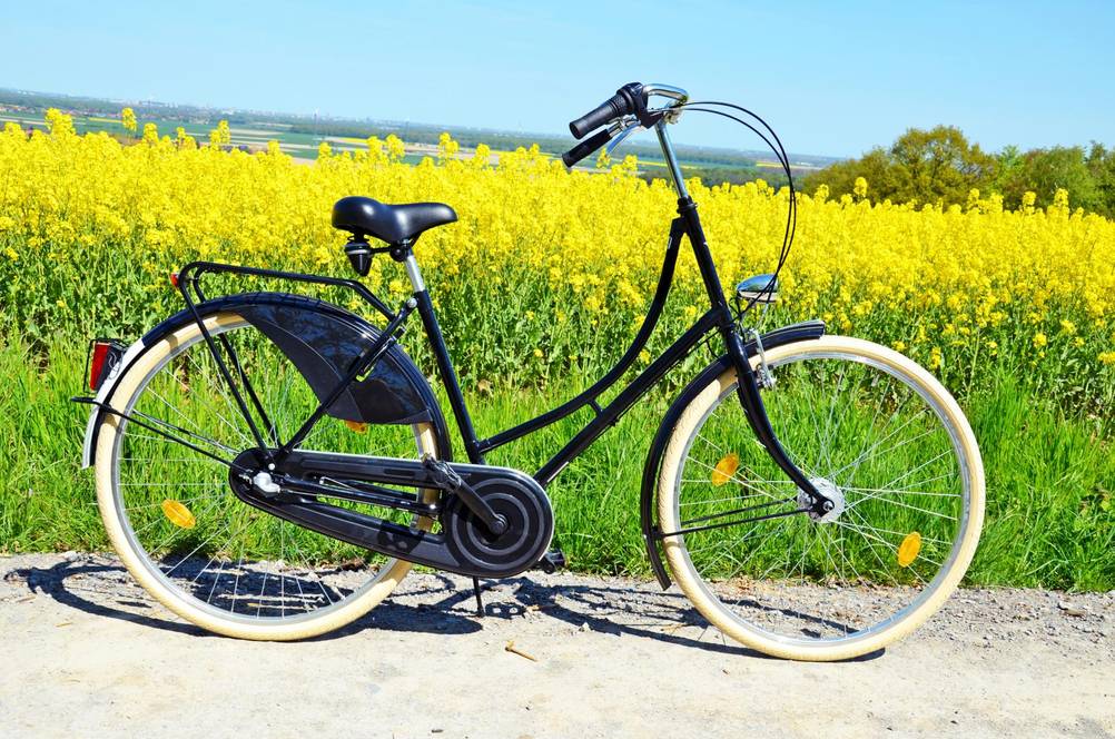 Schwarzes Fahrrad steht vor einem gelben Feld