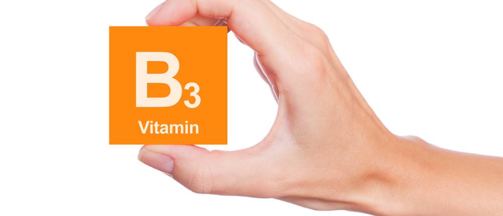 Vitamin-B3-Test