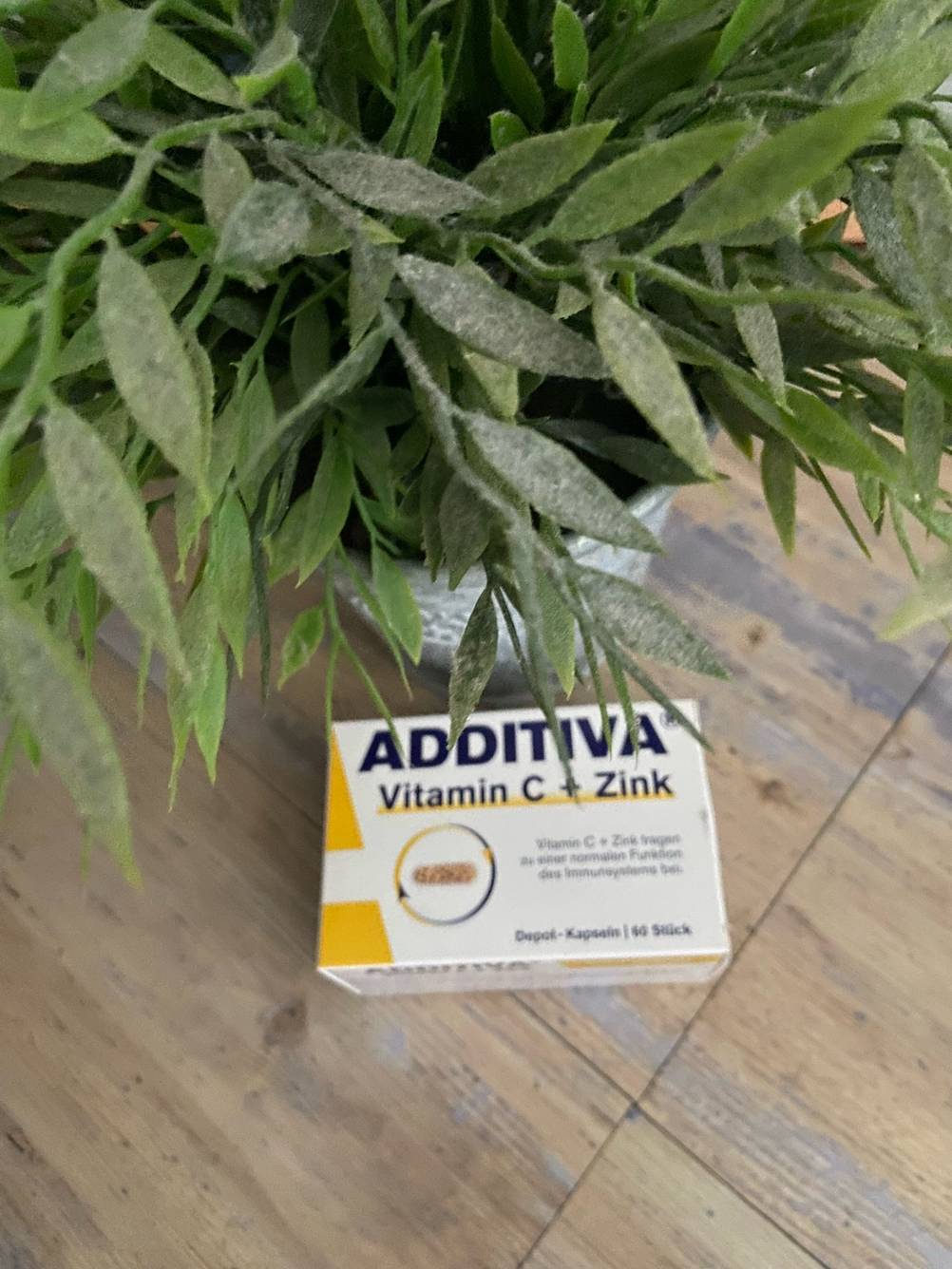 Eine Packung der getesteten Vitamin-Kapseln vor einer Pflanze.