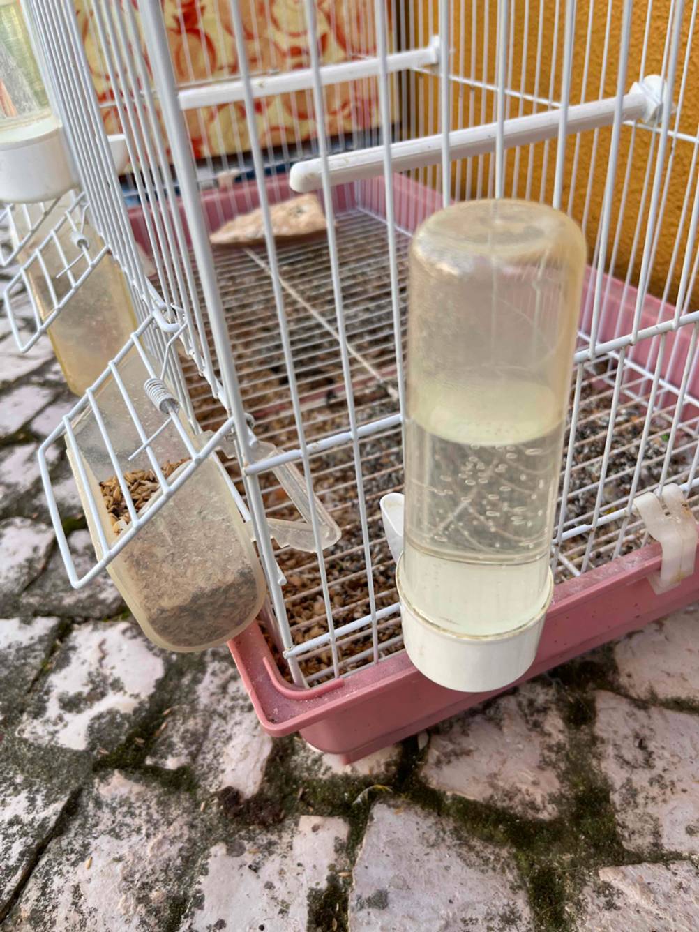 Vogelfutterspender im Test befindet sich eingehängt an einem Vogelkäfig.