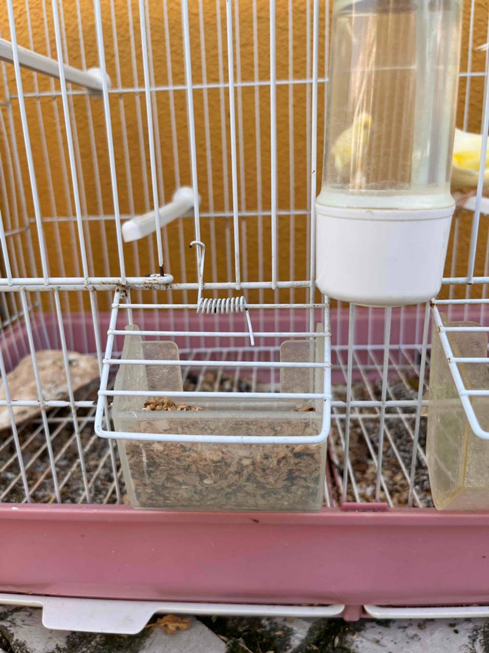 Im Test: Nahaufnahme des Futterbehälters am Rand eines Vogelkäfigs.