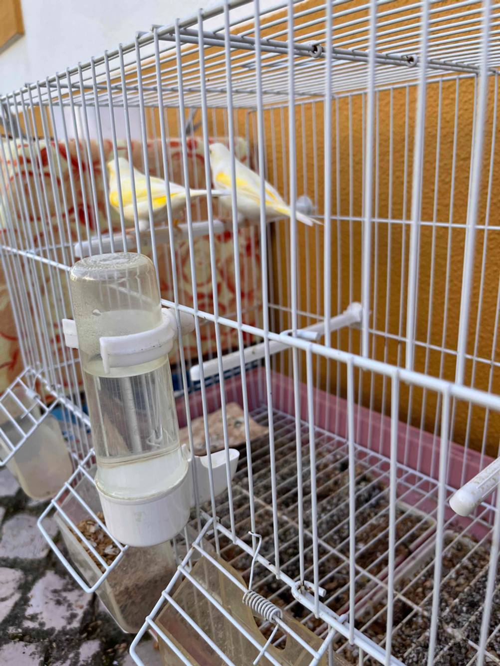 Vogelkäfig getestet: Nahaufnahme des Wasserspenders am Käfig.