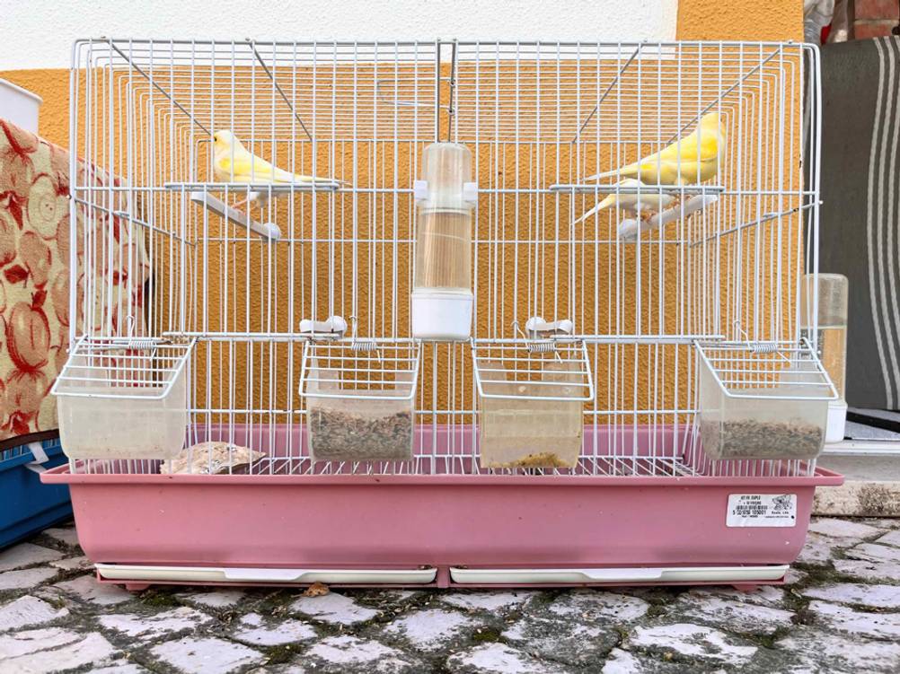 Ein getesteter Vogelkäfig von vorne mit Futter, Wasser und drei Vögeln.