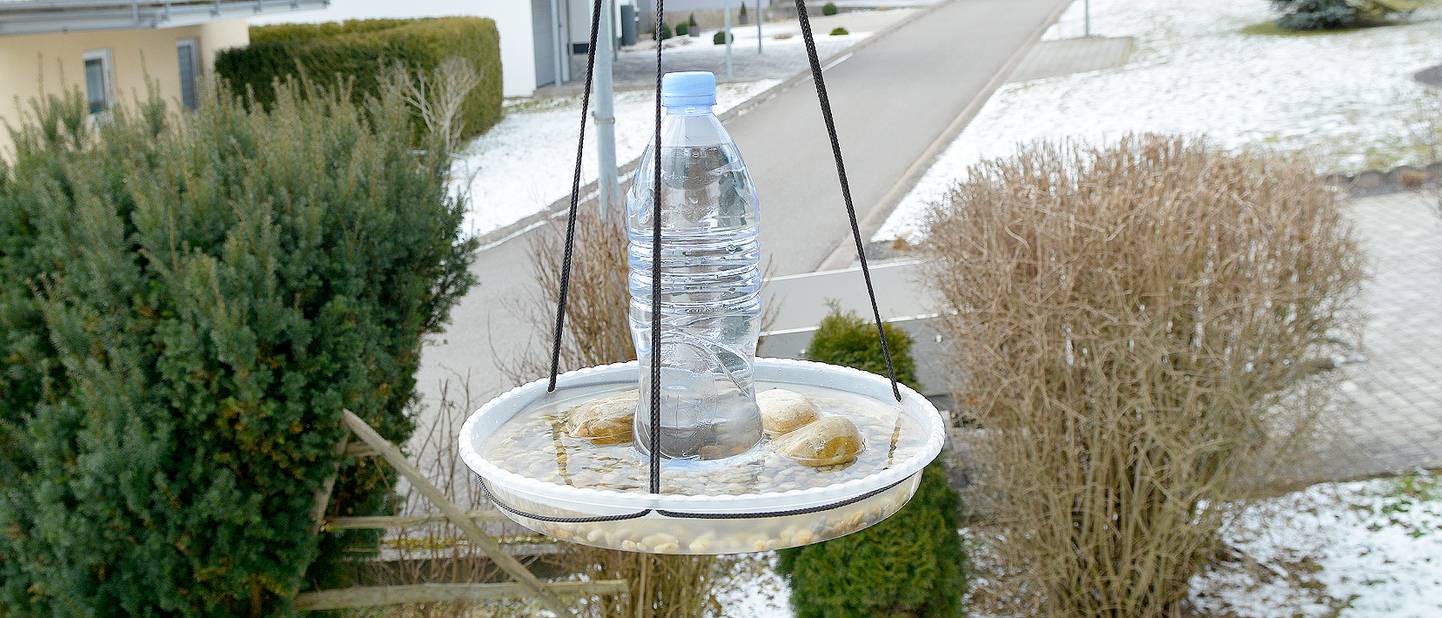 Vogeltranke Mit Standfuss Selber Machen