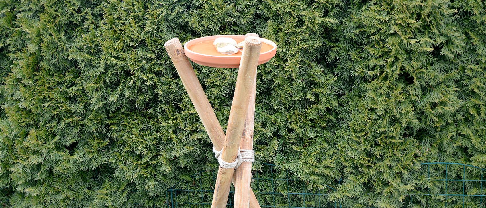 Vogeltränke selber machen 3 Methoden