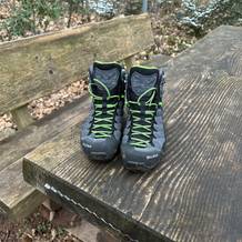 Das Paar Salewa Ms Alp Trainer Mid steht auf einer Holzbank im Wald. Beide Schuhe sind frontal ausgerichtet.