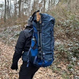 Ein Wanderer trägt die Alpen Bears Wanderstöcke seitlich am Rucksack befestigt. Die Umgebung ist ein herbstlicher Waldweg.