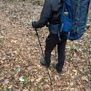 Ein Wanderer mit großem Rucksack nutzt die Alpen Bears Wanderstöcke auf einem Laubweg im Wald. Die Stöcke sind in der Hand und einsatzbereit.