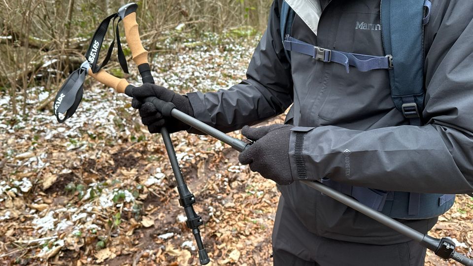 Ein Wanderer stellt die Länge der Alpen Bears Wanderstöcke auf einem herbstlichen Waldweg ein. Die Stöcke sind teilweise ausgezogen.