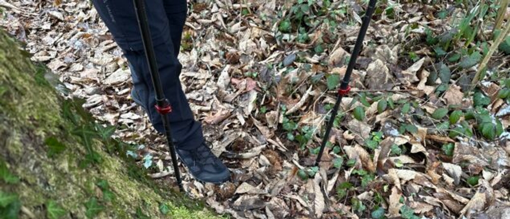 Ein Nutzer setzt die Rothwild Teleskopstöcke im bewaldeten Gelände ein. Die Stöcke stehen auf Laub und Wurzeln.
