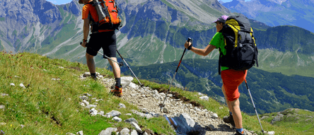 In unserem Wanderstöcke Test zeigen wir Ihnen die besten Produkte für Ihre Wanderung.