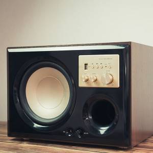 subwoofer