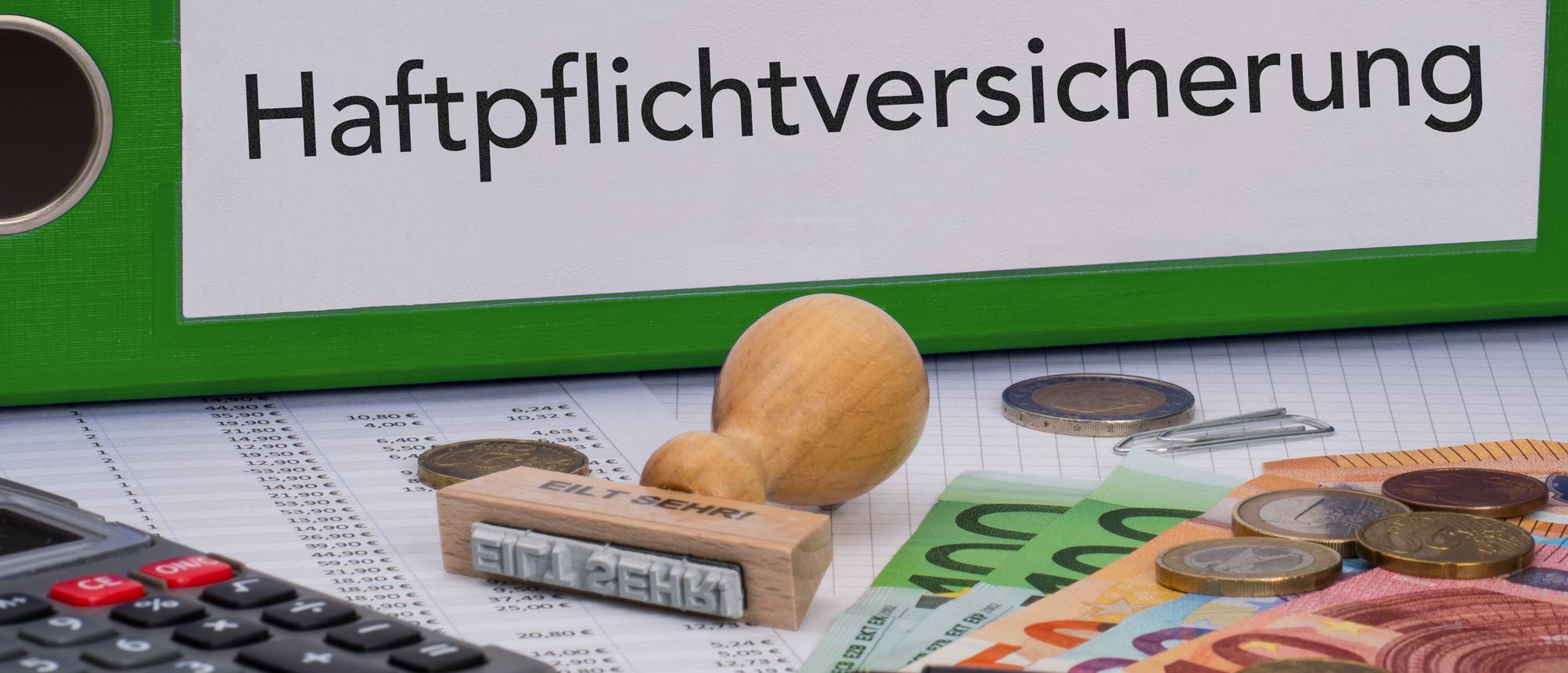 HAFTPFLICHTVERSICHERUNG USA visual data 8