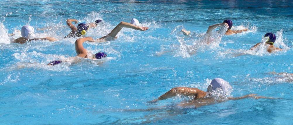 wasserball-regeln