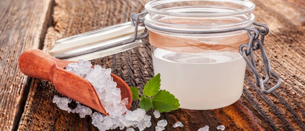 Wasserkefir-Test