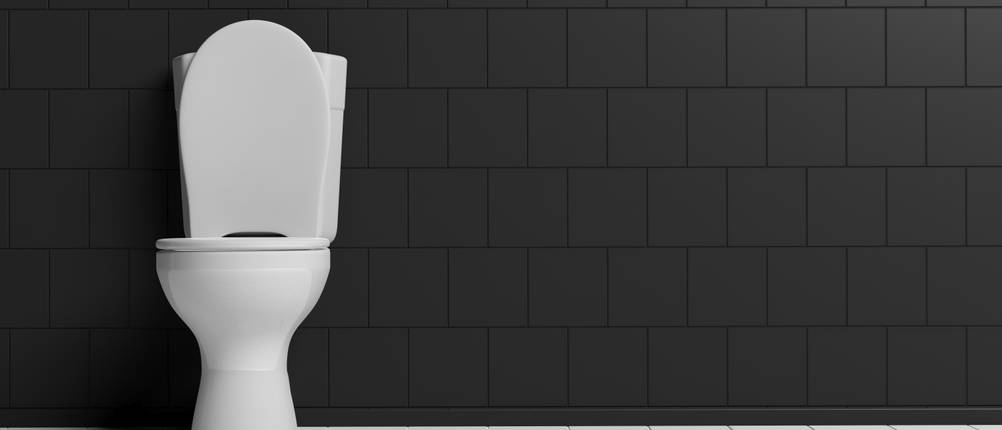 WC-Ente-Frische-Siegel-Test