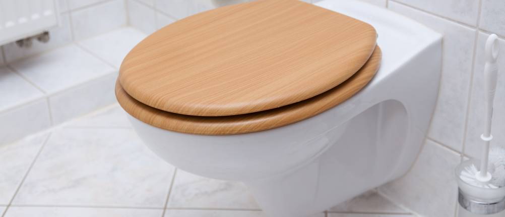 wc-sitz-holz-mit-absenkautomatik-test