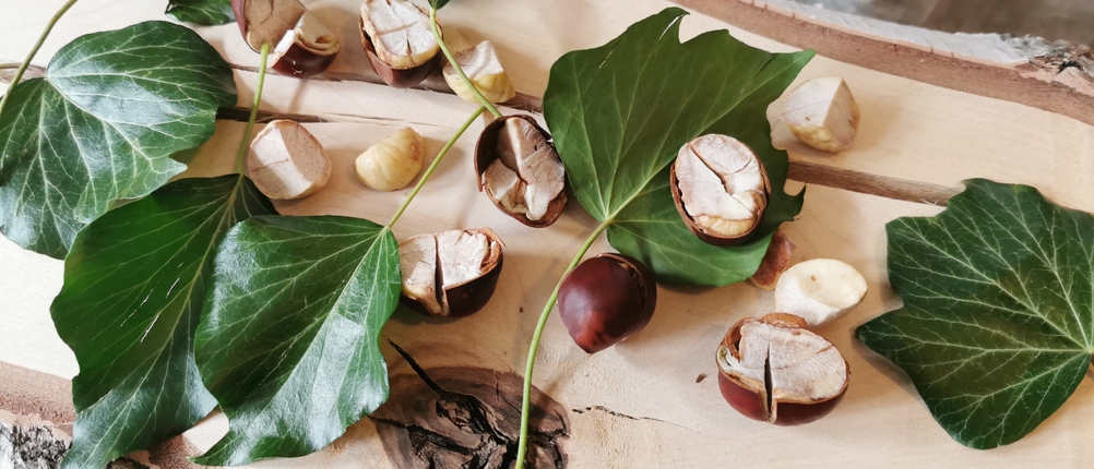Efeu und Kastanien liegen auf einem Holzbrett.