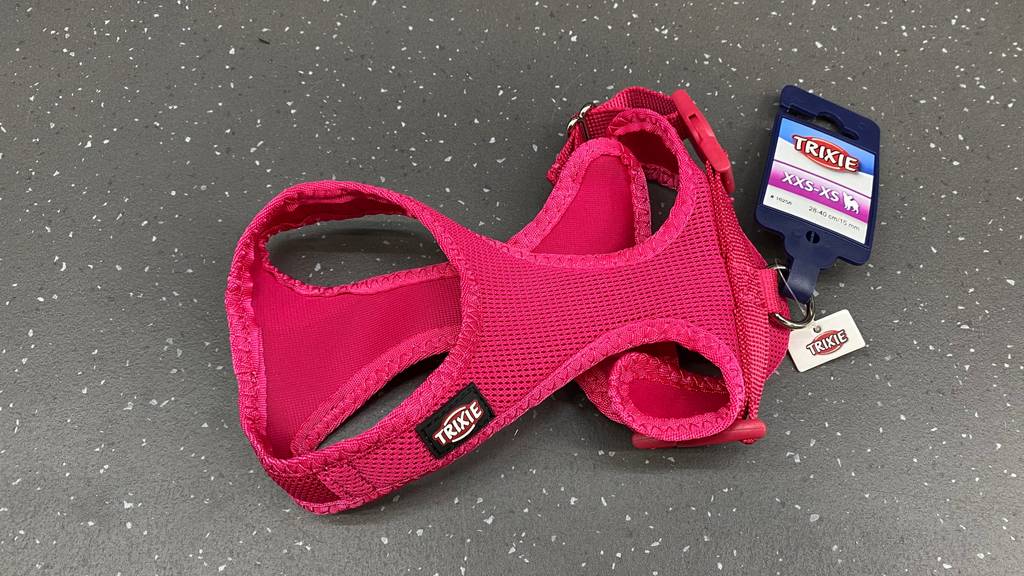 Welpengeschirr im Test: Verstellbares Welpengeschirr befindet sich auf dem Boden. 