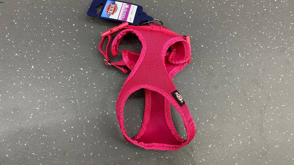 Auf dem Boden liegt ein getestetes Welpengeschirr.