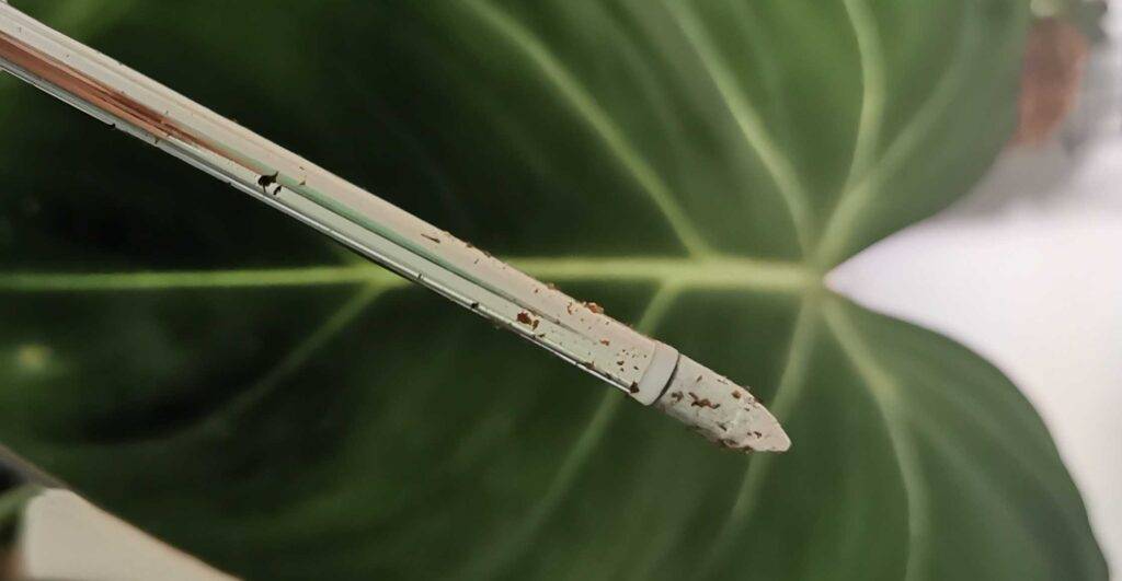 Feuchtigkeitsmesser für Pflanzen im Test: Nahaufnahme der unteren Spitze, für ein gutes Einführen in die Erde.