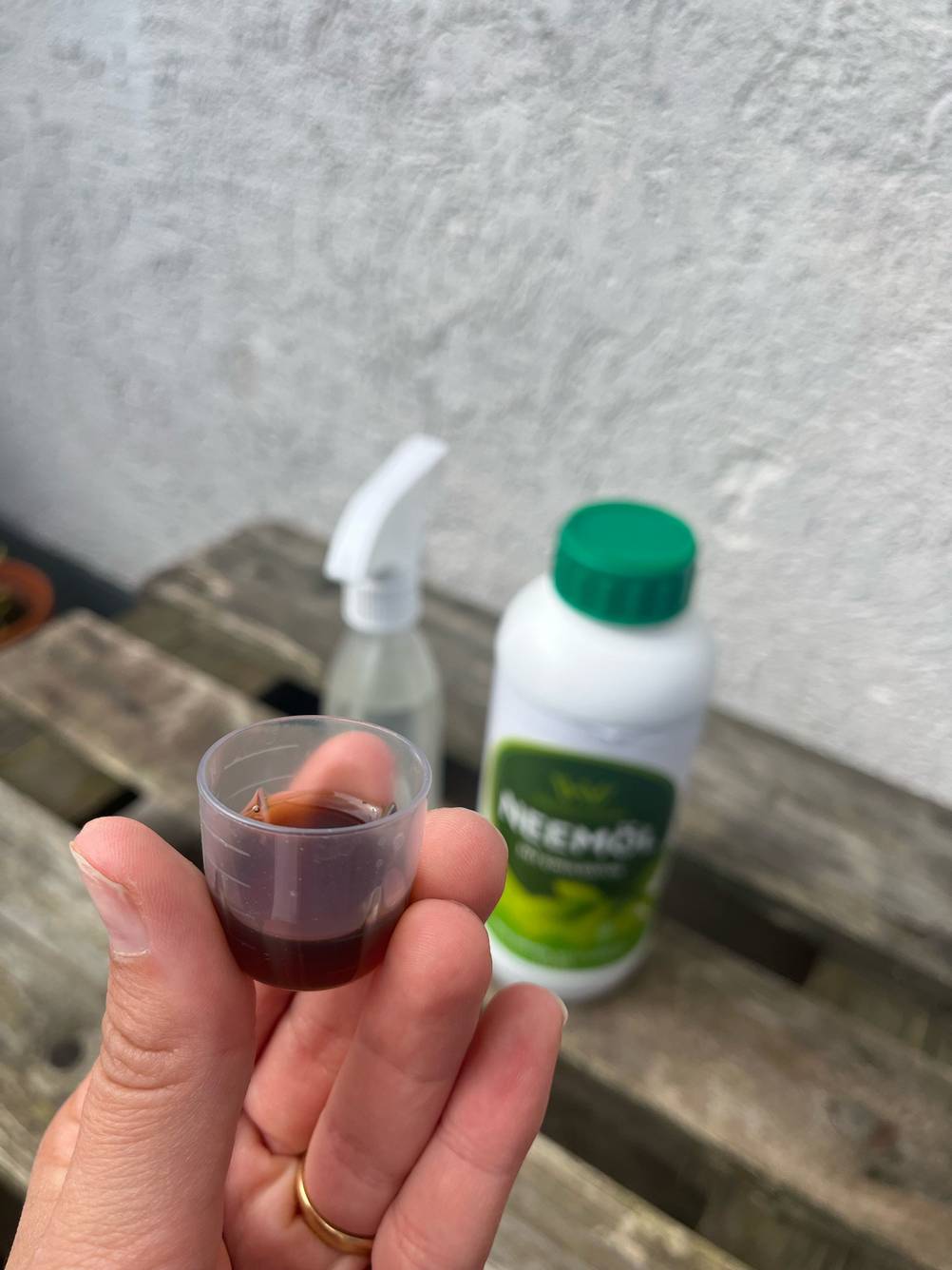 Im Test: Eine Hand hält einen kleinen mit Neemöl gefüllten Becher.