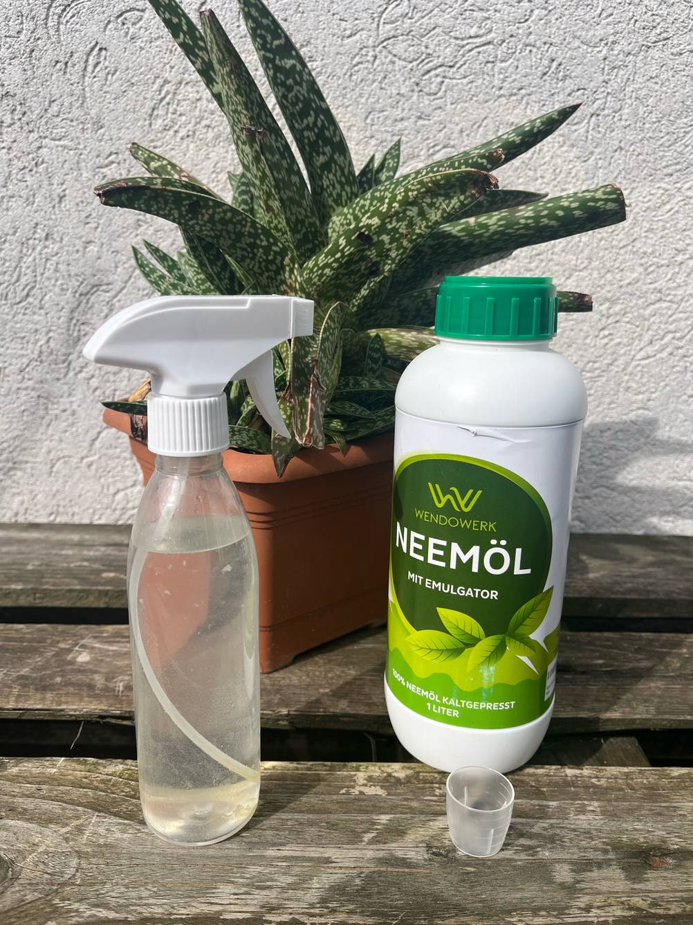 Getestet: Eine Flasche Neemöl und eine Sprühflasche stehen vor einer Grünpflanze.