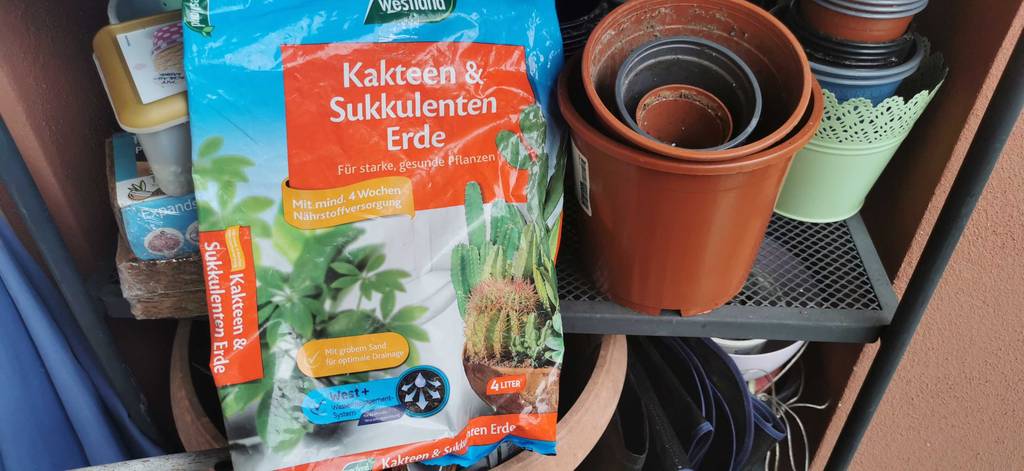 westland Sukkulenten- und Kakteenerde