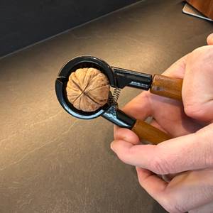 Eine Walnuss liegt im Westmark-Nussknacker Sieger Nussprofi Deluxe