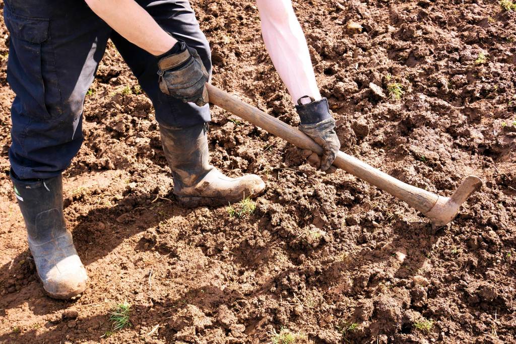 Wiedehopfhacke im Test: Eine Person mit Handschuhen, Arbeitshose und Gummistiefeln arbeitet mit einer Wiedehopfhacke in einem schweren unbewachsenen Boden.
