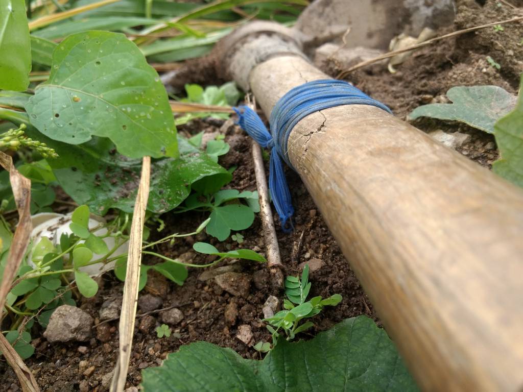 Wiedehopfhacke im Test: Eine Wiedehopfhacke deren Stiel offenbar einen langen Riss hat, der mit einem blauen Band zusammengehalten wird.