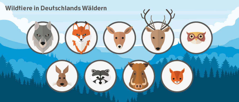 beste wildkamera kaufen