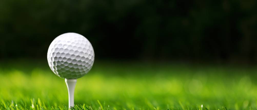 Wilson-Golfbälle-Test