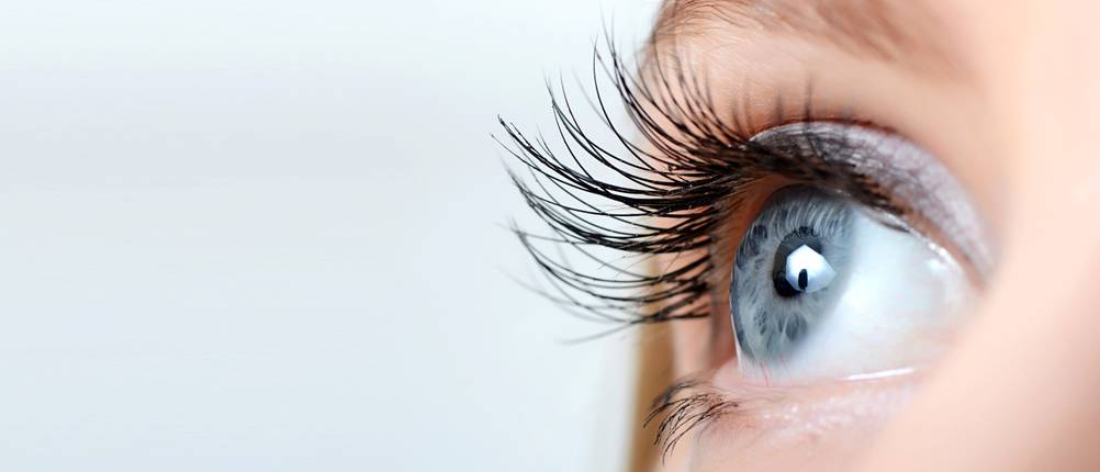 Wimpernserum Test
