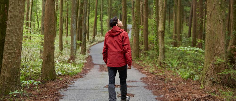 Windbreaker für Herren im Test: Mann mit einem roten Windbreaker läuft über einen Waldweg und schaut nach oben.