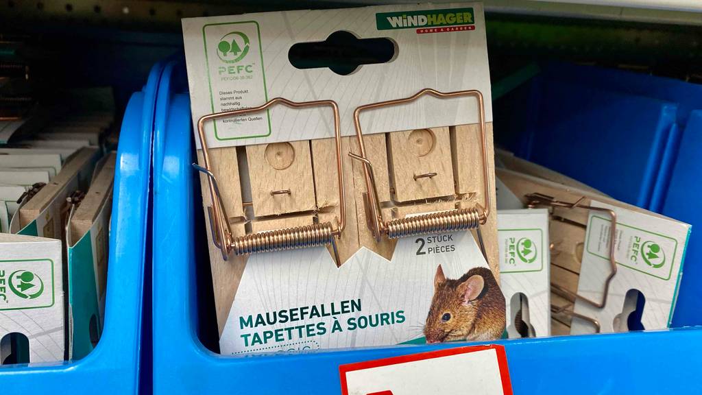 Mausefallen-Test: eine Verpackung inklusive zweier klassischer Holz-Mausefallen der Marke Windhager befindet sich in einer blauen Kunststoffkiste im Verkauf.