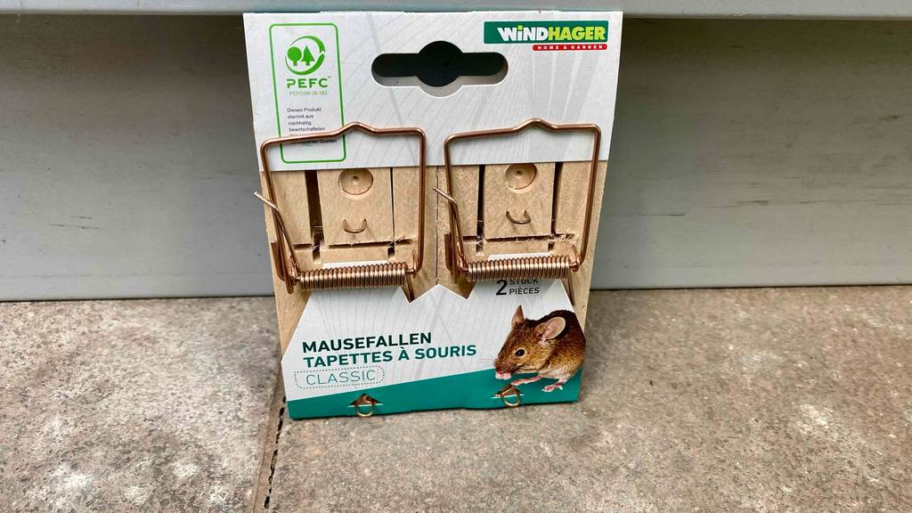 Mausefallen im Test: eine offene Verpackung inklusive zweier klassischer Holz-Mausefallen der Marke Windhager lehnt an einer hellgrauen Wand.