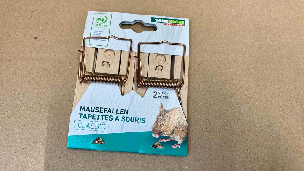 Im Test: Mausefallen in einer offen gestalteten Verpackung der Marke Windhager liegen auf einem beigefarbenen Boden.