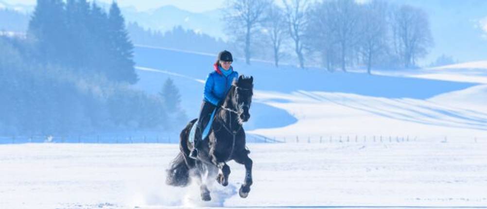 Winter-Reithandschuhe-Test: Eine Frau reitet auf einem Pferd durch den Schnee.