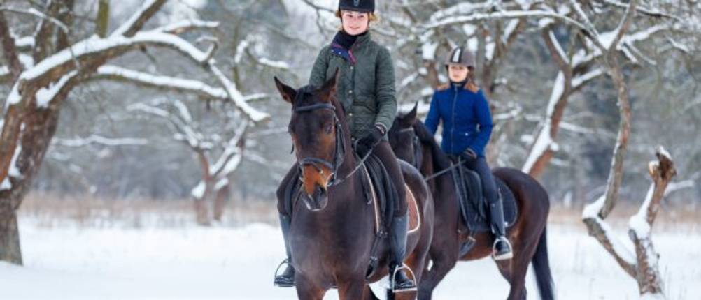 Winter-Reithandschuhe-Test: Zwei Frauen reiten im Schnee auf Pferden.