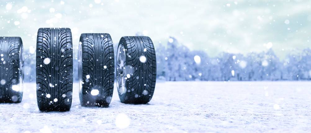 Winterreifen-235/60 R17-Test: Vier Reifen in winterlicher Kullisse.