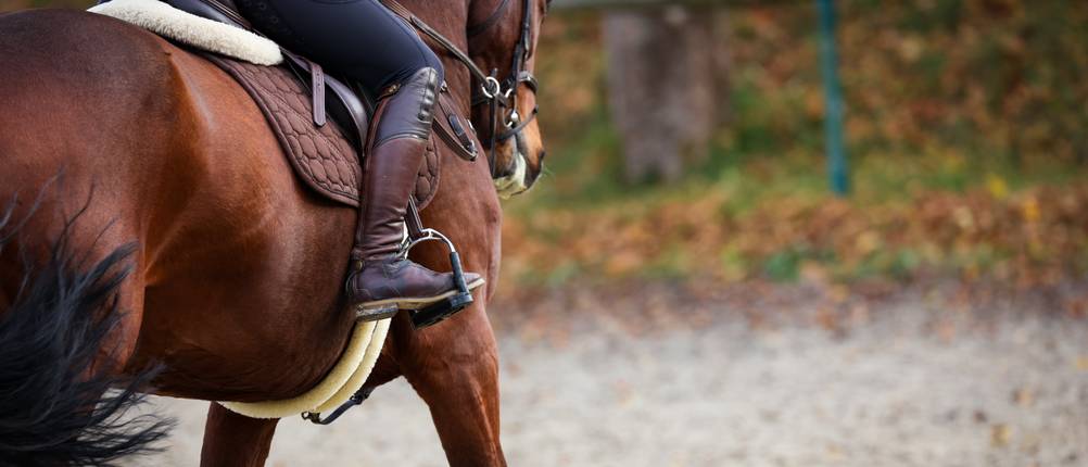winterreitstiefel damen test