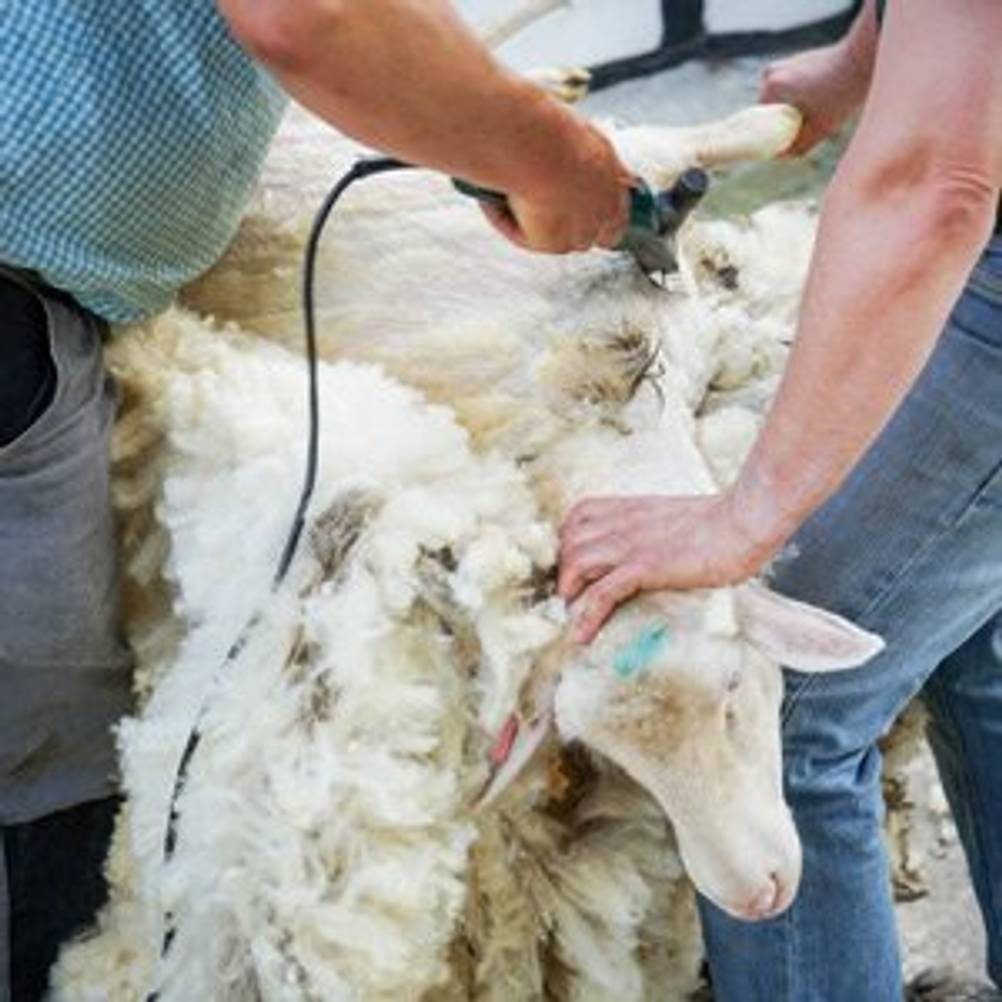 thermosocke-herren
