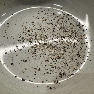 Noch feiner gemahlene Pfefferkörner nach dem Mahlen mit der WMF 355906