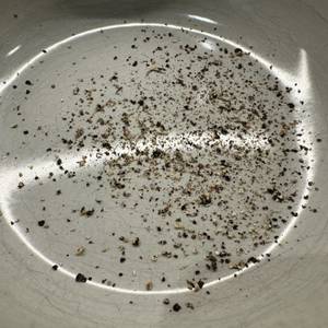Noch feiner gemahlene Pfefferkörner nach dem Mahlen mit der WMF 355906