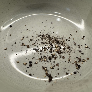 Grober Pfeffer von der WMF 667374500 in einer Schale