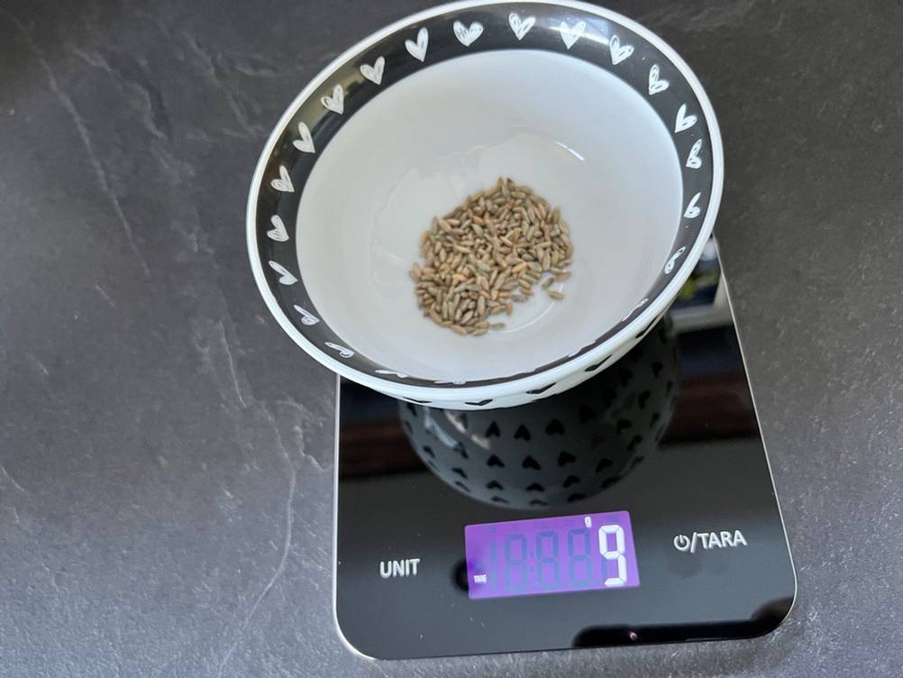 Schale mit Roggen auf einer Küchenwaage WMF digitale Küchenwaage schwarz mit 9 Gramm Anzeige