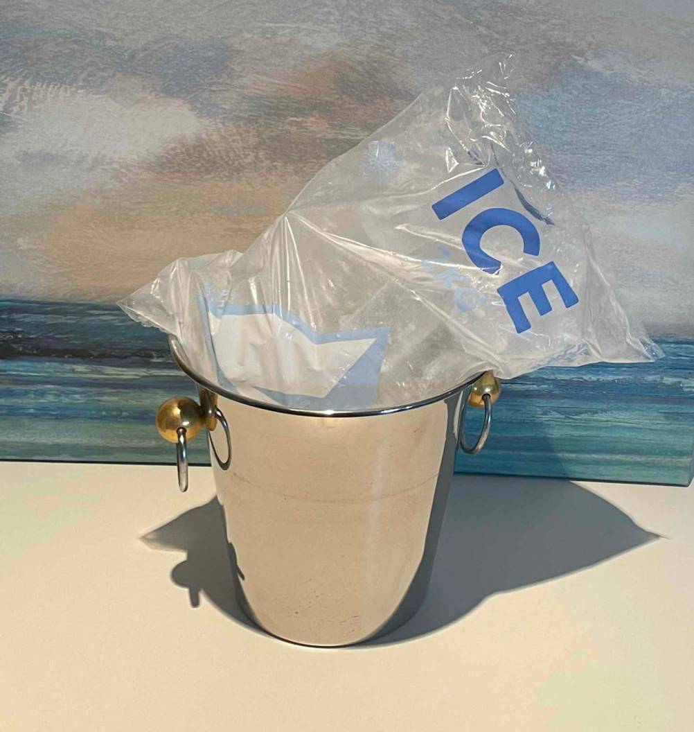 WMF Eiskübel im Test steht inklusive Beutel mit Eisstücken vor einem Gemälde mit Meereshorizont.