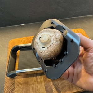 Pilz im Halter des WMF-Gemüsehobels Top Tools